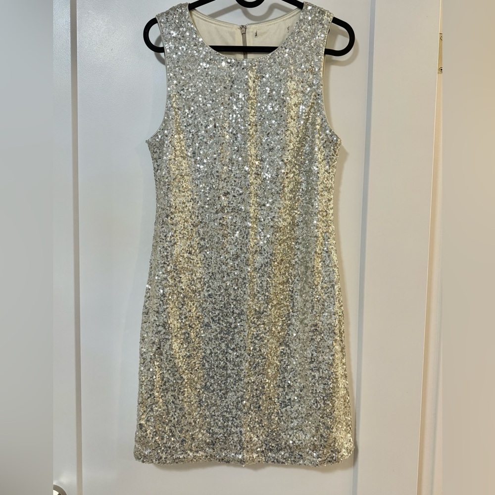 Elegant Silver Sequin Dress
